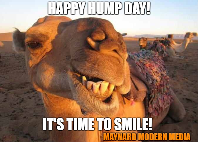 Camel smile | HAPPY HUMP DAY! IT'S TIME TO SMILE! MAYNARD MODERN MEDIA | image tagged in camel smile | made w/ Imgflip meme maker