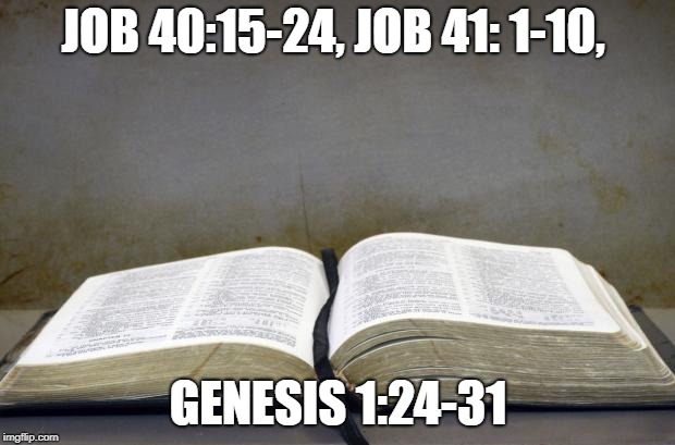 Bible | JOB 40:15-24, JOB 41: 1-10, GENESIS 1:24-31 | image tagged in bible | made w/ Imgflip meme maker