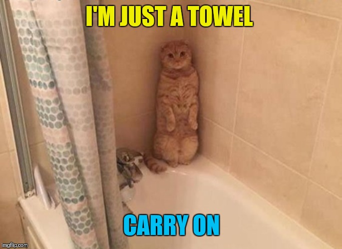 I'M JUST A TOWEL CARRY ON | made w/ Imgflip meme maker