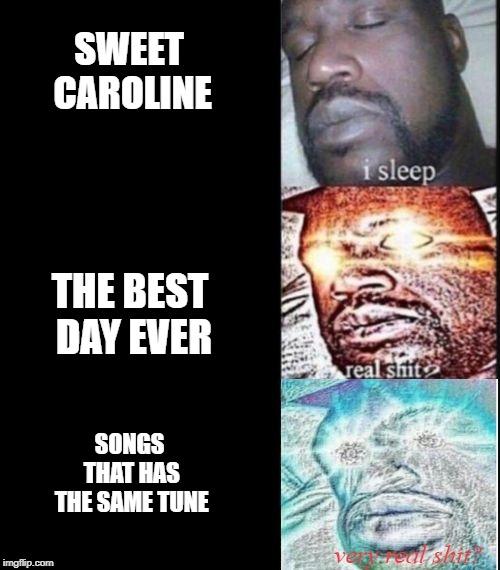 i sleep, real shit?, very real shit? | SWEET CAROLINE THE BEST DAY EVER SONGS THAT HAS THE SAME TUNE | image tagged in i sleep real shit very real shit | made w/ Imgflip meme maker
