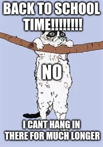Hang in there grumpy cat | BACK TO SCHOOL TIME!!!!!!!! NO; I CANT HANG IN THERE FOR MUCH LONGER | image tagged in hang in there grumpy cat | made w/ Imgflip meme maker