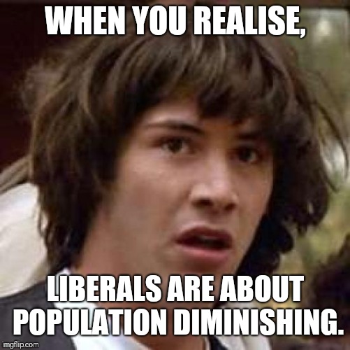 Conspiracy Keanu Meme | WHEN YOU REALISE, LIBERALS ARE ABOUT POPULATION DIMINISHING. | image tagged in memes,conspiracy keanu | made w/ Imgflip meme maker