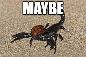 Scumbag Scorpion | MAYBE | image tagged in scumbag scorpion | made w/ Imgflip meme maker