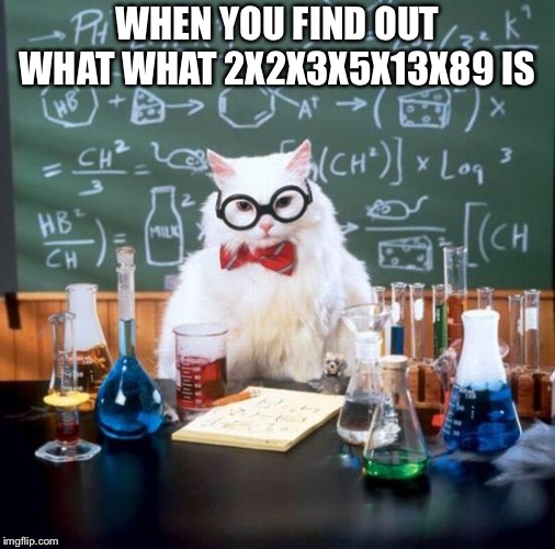 Chemistry Cat | WHEN YOU FIND OUT WHAT WHAT 2X2X3X5X13X89 IS | image tagged in memes,chemistry cat | made w/ Imgflip meme maker