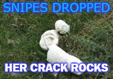 SNIPES DROPPED; HER CRACK ROCKS | image tagged in snipes | made w/ Imgflip meme maker