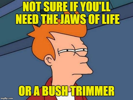 Futurama Fry Meme | NOT SURE IF YOU'LL NEED THE JAWS OF LIFE OR A BUSH TRIMMER | image tagged in memes,futurama fry | made w/ Imgflip meme maker