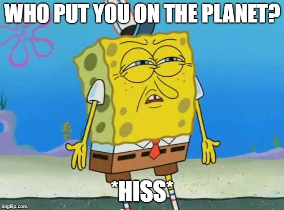 Angry Spongebob | WHO PUT YOU ON THE PLANET? *HISS* | image tagged in angry spongebob | made w/ Imgflip meme maker