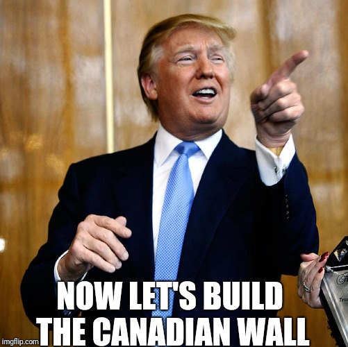 Donal Trump Birthday | NOW LET'S BUILD THE CANADIAN WALL | image tagged in donal trump birthday | made w/ Imgflip meme maker