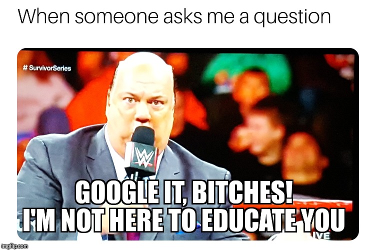 Seriously, just Google it! | image tagged in paul heyman,wwe,google,questions | made w/ Imgflip meme maker