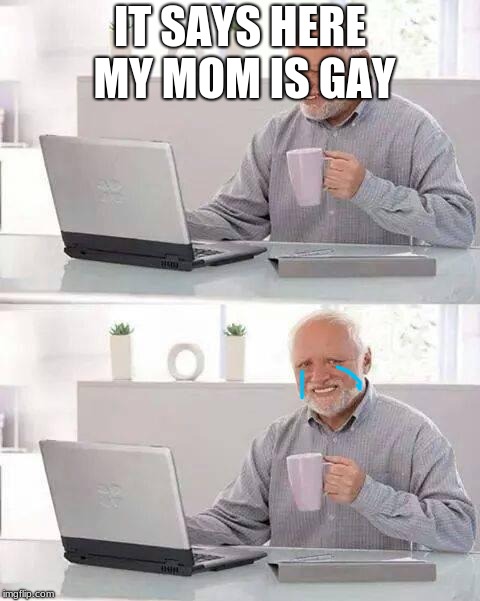 Hide the Pain Harold Meme | IT SAYS HERE MY MOM IS GAY | image tagged in memes,hide the pain harold | made w/ Imgflip meme maker