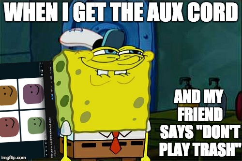 Don't You Squidward Meme | WHEN I GET THE AUX CORD; AND MY FRIEND SAYS "DON'T PLAY TRASH" | image tagged in memes,dont you squidward | made w/ Imgflip meme maker