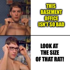 Peter Parker Glasses | THIS BASEMENT OFFICE ISN'T SO BAD LOOK AT THE SIZE OF THAT RAT! | image tagged in peter parker glasses | made w/ Imgflip meme maker