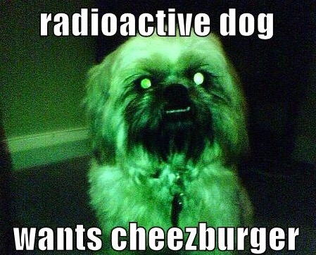 :) | image tagged in memes,dogs,radioactive | made w/ Imgflip meme maker