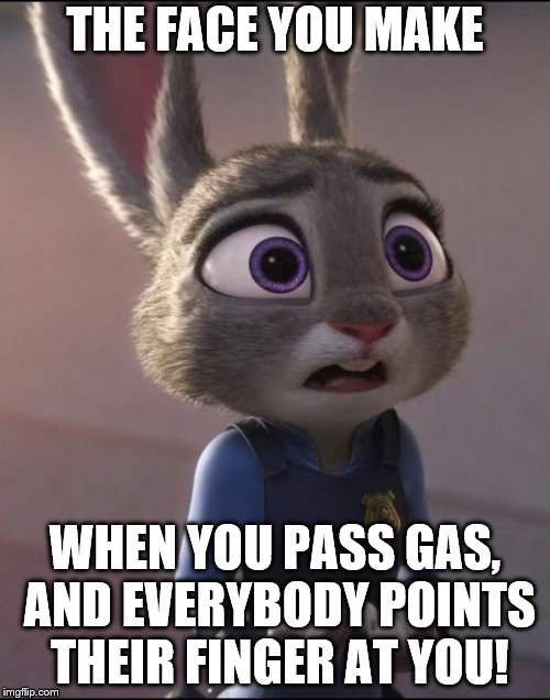 Judy Hopps Opps Gas Meme | THE FACE YOU MAKE; WHEN YOU PASS GAS, AND EVERYBODY POINTS THEIR FINGER AT YOU! | image tagged in judy hopps,zootopia,meme,bunny,the face you make when,the face you make | made w/ Imgflip meme maker