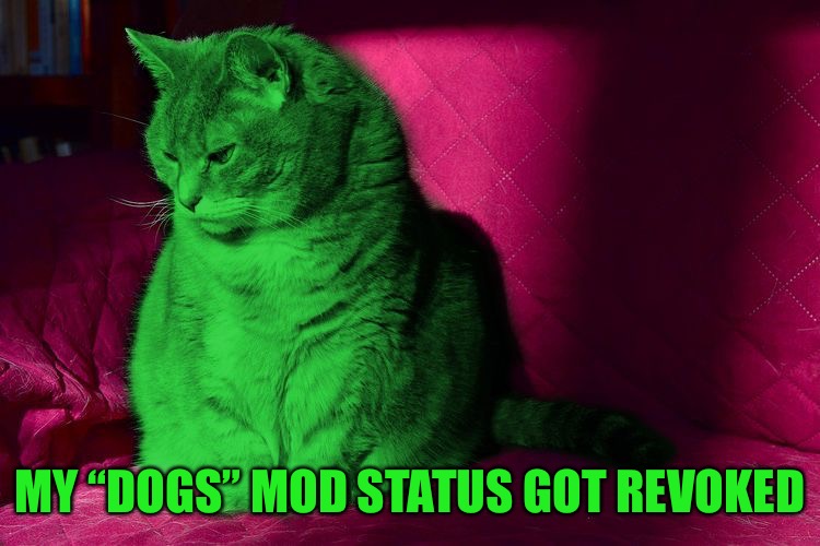 Cantankerous RayCat | MY “DOGS” MOD STATUS GOT REVOKED | image tagged in cantankerous raycat | made w/ Imgflip meme maker
