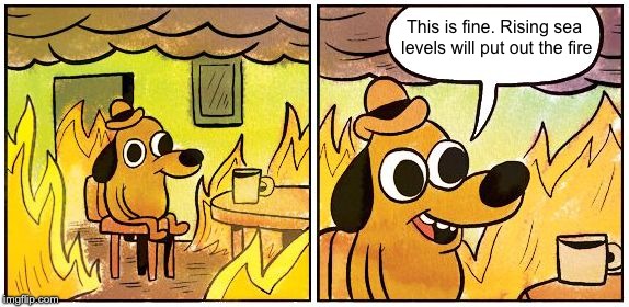Rising sea levels & wildfires | This is fine. Rising sea levels will put out the fire | image tagged in this is fine dog,this is fine,climate change,wildfires,california,hotel california | made w/ Imgflip meme maker