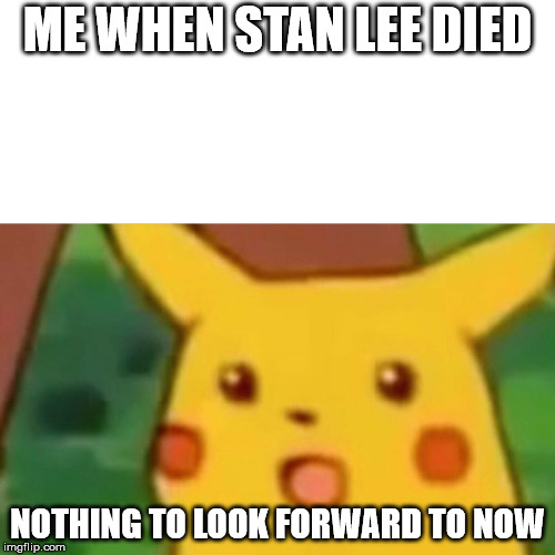 Surprised Pikachu Meme | ME WHEN STAN LEE DIED; NOTHING TO LOOK FORWARD TO NOW | image tagged in memes,surprised pikachu | made w/ Imgflip meme maker