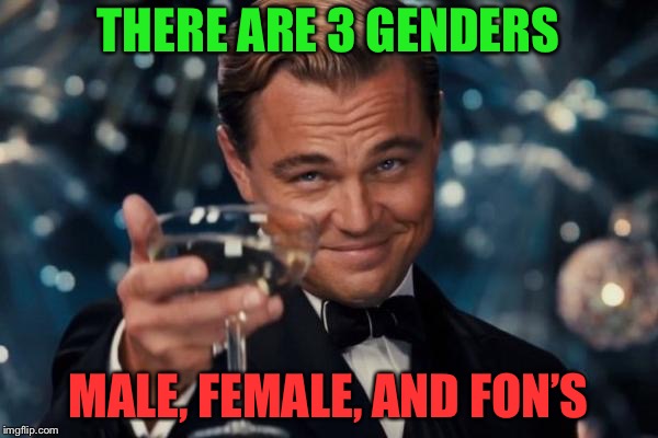 Leonardo Dicaprio Cheers Meme | THERE ARE 3 GENDERS; MALE, FEMALE, AND FON’S | image tagged in memes,leonardo dicaprio cheers | made w/ Imgflip meme maker