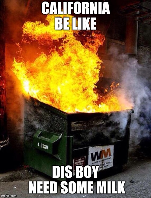 Dumpster Fire | CALIFORNIA BE LIKE; DIS BOY NEED SOME MILK | image tagged in dumpster fire | made w/ Imgflip meme maker