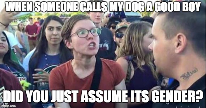 Did you just assume my gender | WHEN SOMEONE CALLS MY DOG A GOOD BOY; DID YOU JUST ASSUME ITS GENDER? | image tagged in did you just assume my gender | made w/ Imgflip meme maker