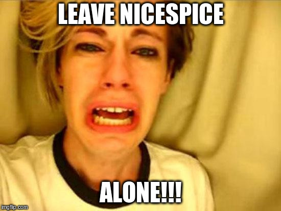 Leave Britney Alone | LEAVE NICESPICE; ALONE!!! | image tagged in leave britney alone | made w/ Imgflip meme maker
