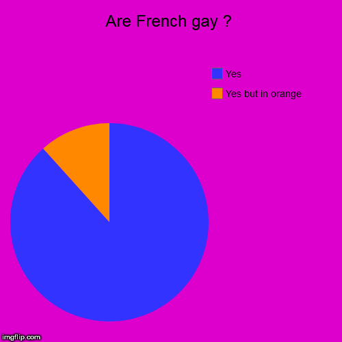 Are French gay ? | Yes but in orange, Yes | image tagged in funny,pie charts | made w/ Imgflip chart maker