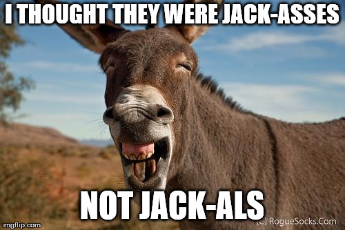 Donkey Jackass Braying | I THOUGHT THEY WERE JACK-ASSES NOT JACK-ALS | image tagged in donkey jackass braying | made w/ Imgflip meme maker