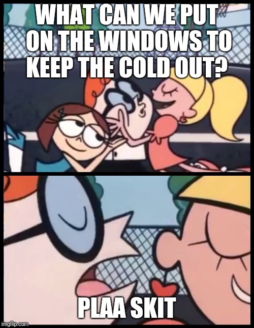 Say it Again, Dexter | WHAT CAN WE PUT ON THE WINDOWS TO KEEP THE COLD OUT? PLAA SKIT | image tagged in say it again dexter | made w/ Imgflip meme maker