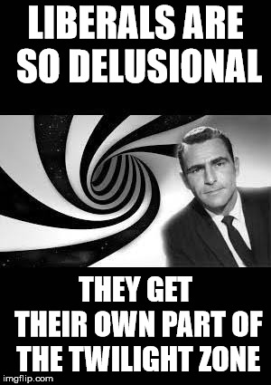 twilight Zone | LIBERALS ARE SO DELUSIONAL THEY GET THEIR OWN PART OF THE TWILIGHT ZONE | image tagged in twilight zone | made w/ Imgflip meme maker