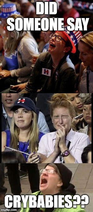 DID SOMEONE SAY CRYBABIES?? | made w/ Imgflip meme maker
