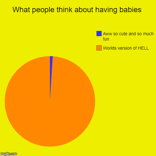 What people think about having babies | Worlds version of HELL , Aww so cute and so much fun | image tagged in funny,pie charts | made w/ Imgflip chart maker