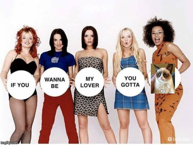 Saggy spice  | image tagged in memes,spice girls,tour,grumpy cat,bad photoshop,funny | made w/ Imgflip meme maker