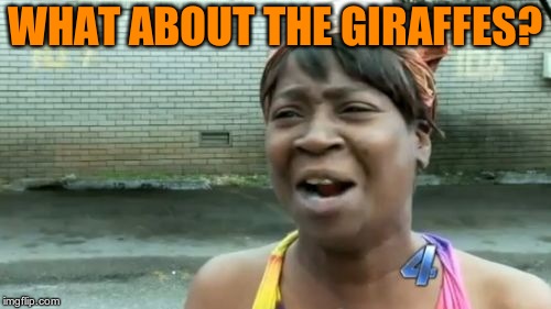 Ain't Nobody Got Time For That Meme | WHAT ABOUT THE GIRAFFES? | image tagged in memes,aint nobody got time for that | made w/ Imgflip meme maker