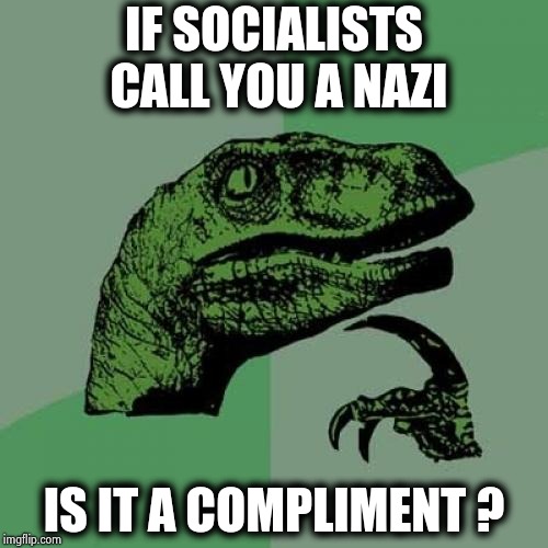 Philosoraptor Meme | IF SOCIALISTS CALL YOU A NAZI IS IT A COMPLIMENT ? | image tagged in memes,philosoraptor | made w/ Imgflip meme maker