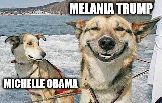 Original Stoner Dog | MELANIA TRUMP; MICHELLE OBAMA | image tagged in memes,original stoner dog | made w/ Imgflip meme maker