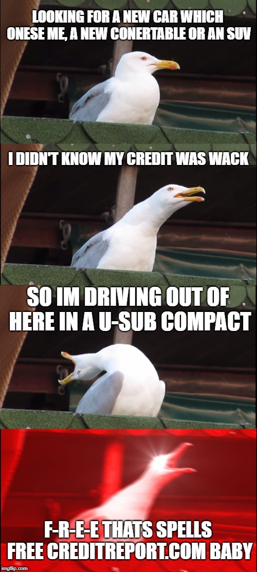 Inhaling Seagull Meme | LOOKING FOR A NEW CAR WHICH ONESE ME, A NEW CONERTABLE OR AN SUV; I DIDN'T KNOW MY CREDIT WAS WACK; SO IM DRIVING OUT OF HERE IN A U-SUB COMPACT; F-R-E-E THATS SPELLS FREE CREDITREPORT.COM BABY | image tagged in memes,inhaling seagull | made w/ Imgflip meme maker