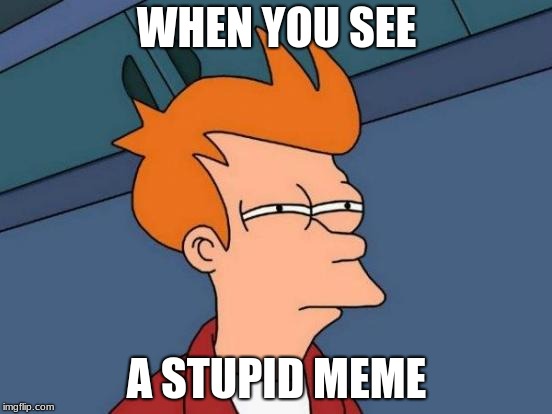 Futurama Fry Meme | WHEN YOU SEE; A STUPID MEME | image tagged in memes,futurama fry | made w/ Imgflip meme maker