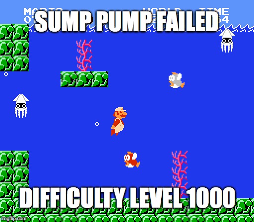 SUMP PUMP FAILED; DIFFICULTY LEVEL 1000 | image tagged in plumber,plumbing,mario,super mario,super mario bros | made w/ Imgflip meme maker