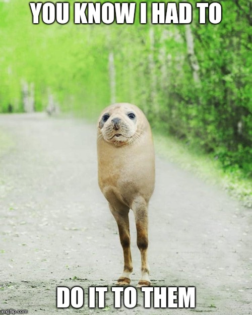 MEme | YOU KNOW I HAD TO; DO IT TO THEM | image tagged in dead memes | made w/ Imgflip meme maker