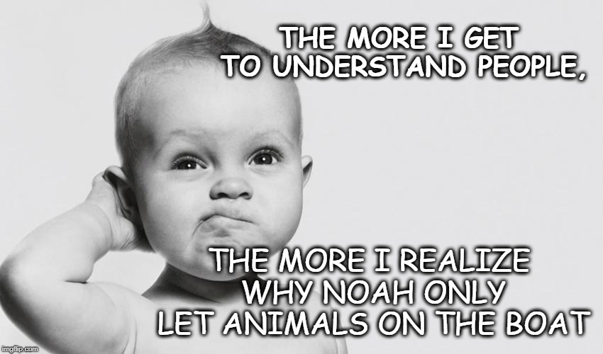 Understanding People | THE MORE I GET TO UNDERSTAND PEOPLE, THE MORE I REALIZE WHY NOAH ONLY LET ANIMALS ON THE BOAT | image tagged in funny,baby | made w/ Imgflip meme maker