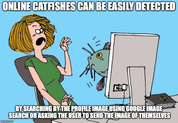Catching Catfishes | ONLINE CATFISHES CAN BE EASILY DETECTED; BY SEARCHING BY THE PROFILE IMAGE USING GOOGLE IMAGE SEARCH OR ASKING THE USER TO SEND THE IMAGE OF THEMSELVES | image tagged in catfish,memes | made w/ Imgflip meme maker