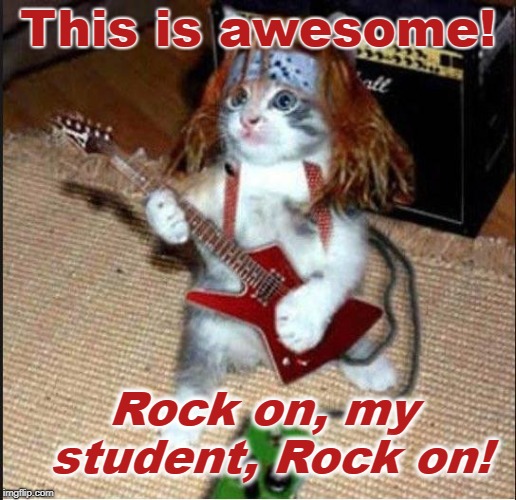 Rockstar Cat | This is awesome! Rock on, my student, Rock on! | image tagged in rockstar cat | made w/ Imgflip meme maker