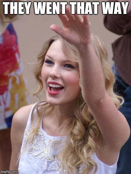 Taylor Swift Salute | THEY WENT THAT WAY | image tagged in taylor swift salute | made w/ Imgflip meme maker
