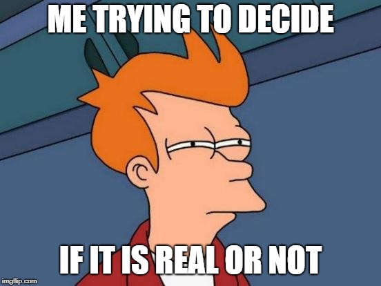Futurama Fry Meme | ME TRYING TO DECIDE IF IT IS REAL OR NOT | image tagged in memes,futurama fry | made w/ Imgflip meme maker