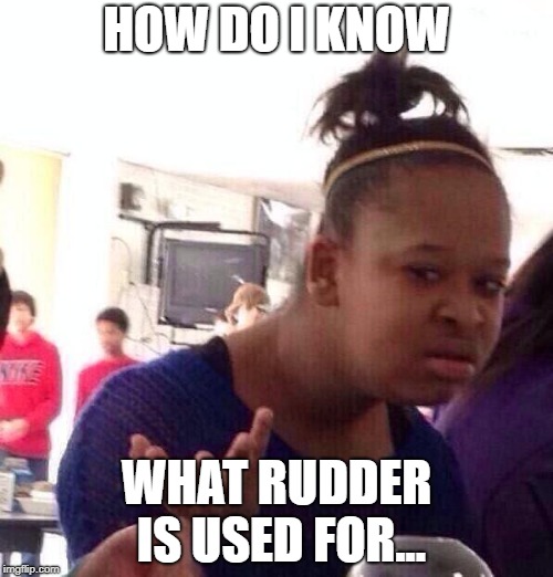 Black Girl Wat | HOW DO I KNOW; WHAT RUDDER IS USED FOR... | image tagged in memes,black girl wat | made w/ Imgflip meme maker