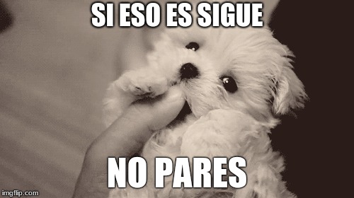 SI ESO ES SIGUE; NO PARES | made w/ Imgflip meme maker