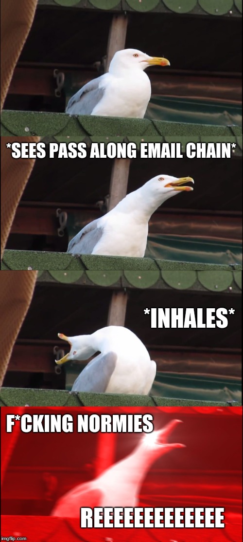 Inhaling Seagull | *SEES PASS ALONG EMAIL CHAIN*; *INHALES*; F*CKING NORMIES; REEEEEEEEEEEEE | image tagged in memes,inhaling seagull | made w/ Imgflip meme maker