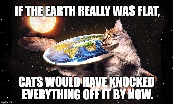 image tagged in cats,flat earth,funny | made w/ Imgflip meme maker