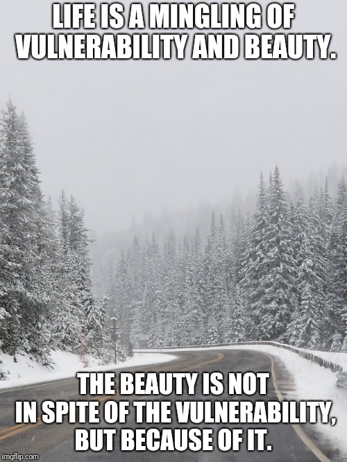 Vulnerability  | LIFE IS A MINGLING OF VULNERABILITY AND BEAUTY. THE BEAUTY IS NOT IN SPITE OF THE VULNERABILITY, BUT BECAUSE OF IT. | image tagged in beauty | made w/ Imgflip meme maker