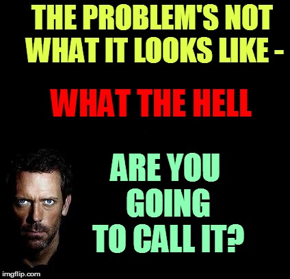 THE PROBLEM'S NOT WHAT IT LOOKS LIKE - WHAT THE HELL ARE YOU GOING TO CALL IT? | made w/ Imgflip meme maker